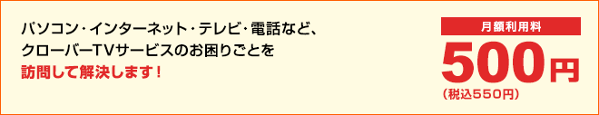 月額利用料 500円