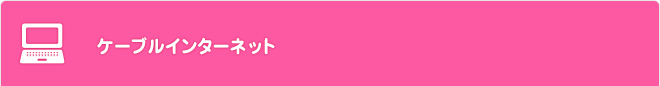 ケーブルインターネット