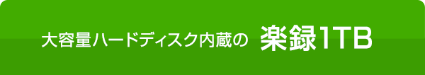 大容量ハードディスク内蔵の 楽録1TB