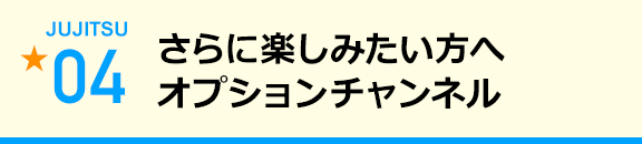 さらに楽しみたい方へオプションチャンネル