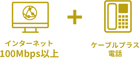 インターネット100Mbps以上 ＋ ケーブルプラス電話